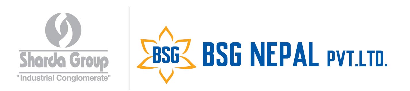 Bsg Logo